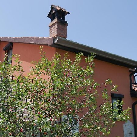 Apartment Kornarija 布耶 外观 照片